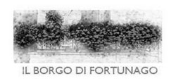 il borgo di Fortunago